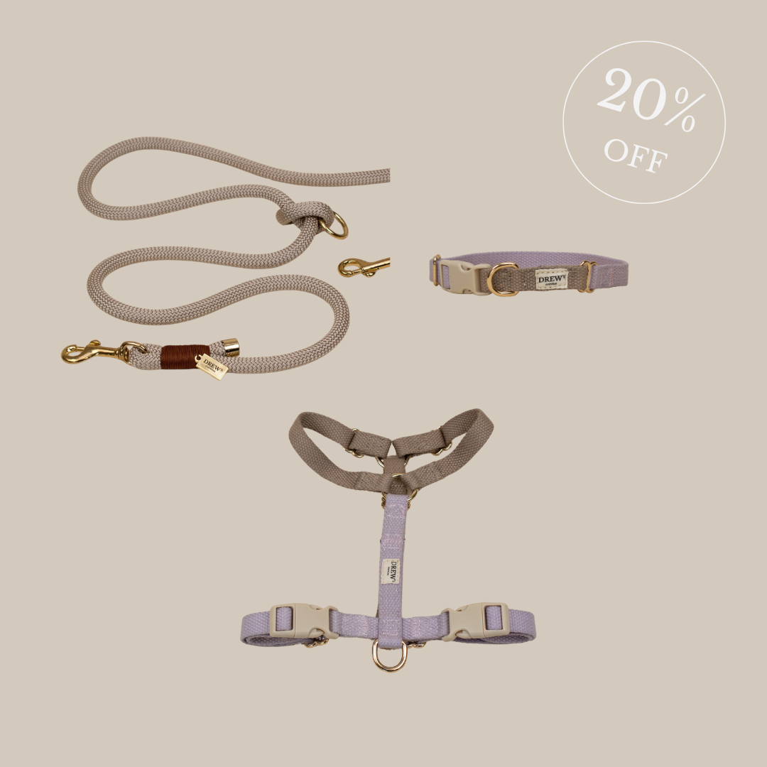 Lavender dog collar & harness + Beige dog leash