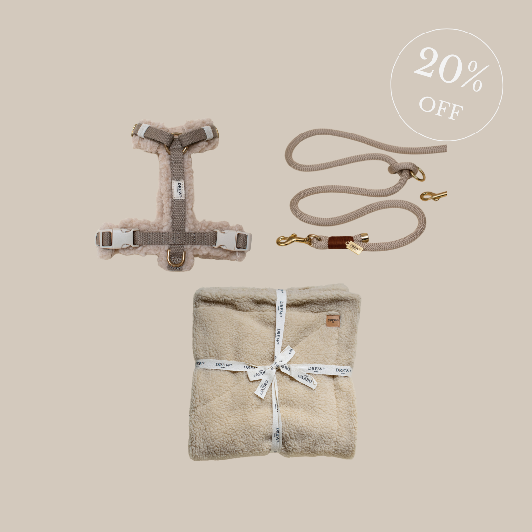 Teddy dog harness + Chai Latte dog leash + Teddy dog blanket