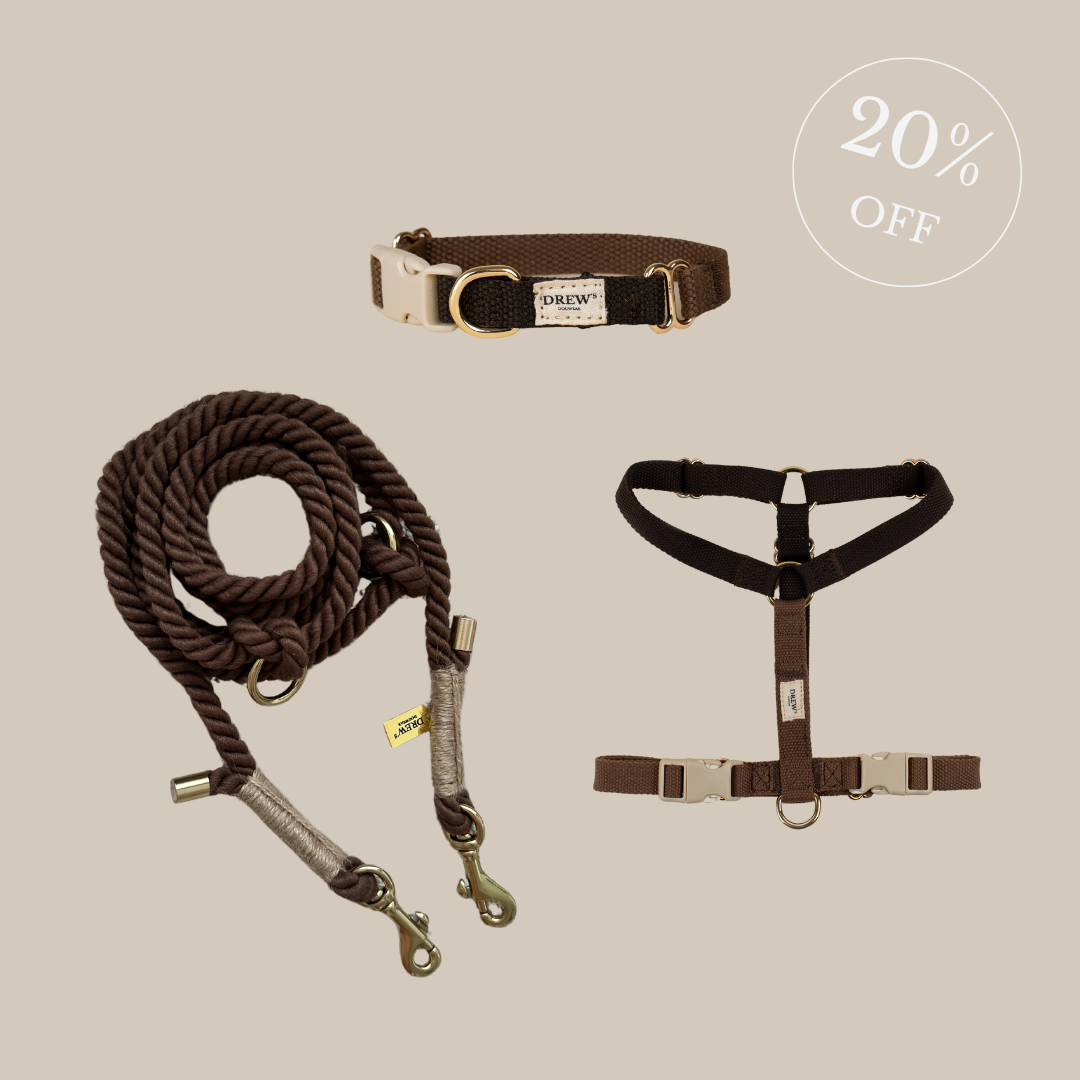Chocolate halsbånd & hundesele + BRUN standard hundesnor