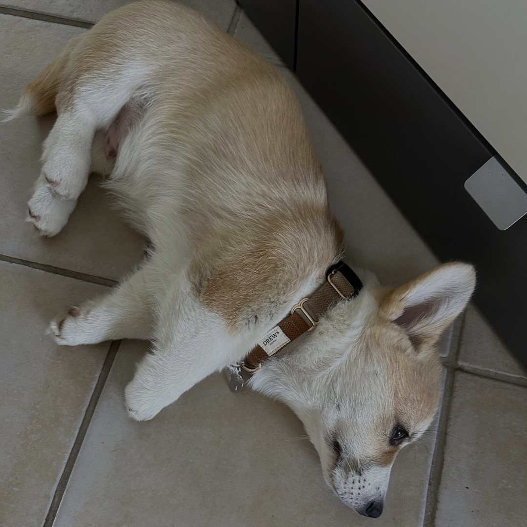 Tips til alene hjemme træning