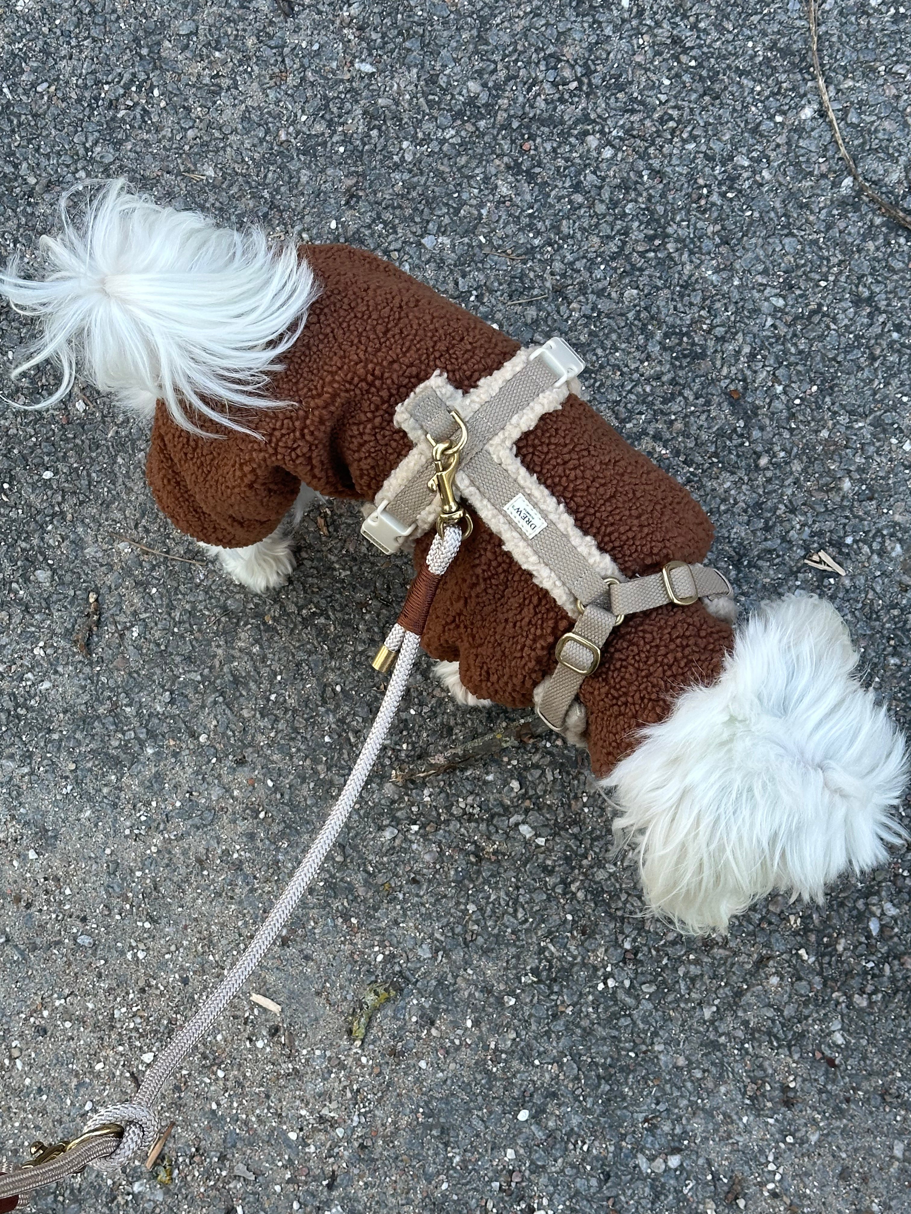 Hunde tøj