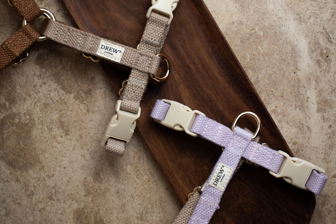 Hundeseler - 2 farvet