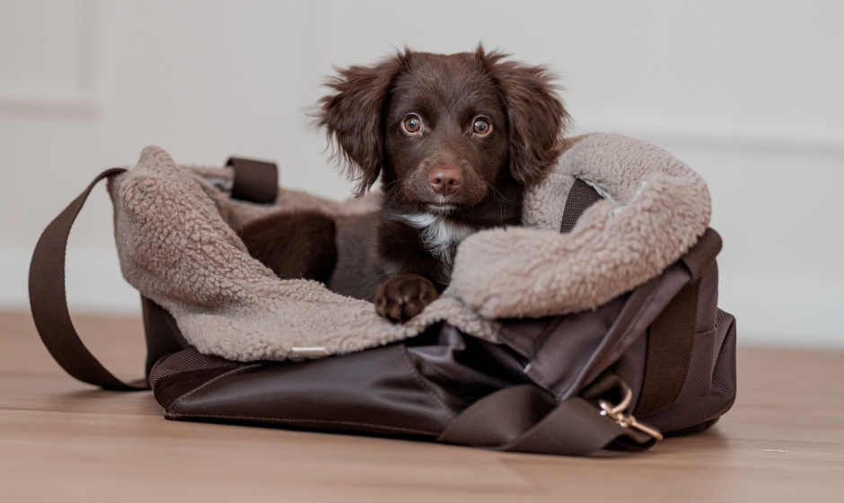 All dog bags