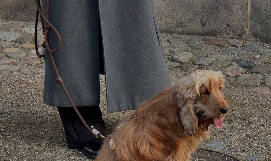 Everything for the walk