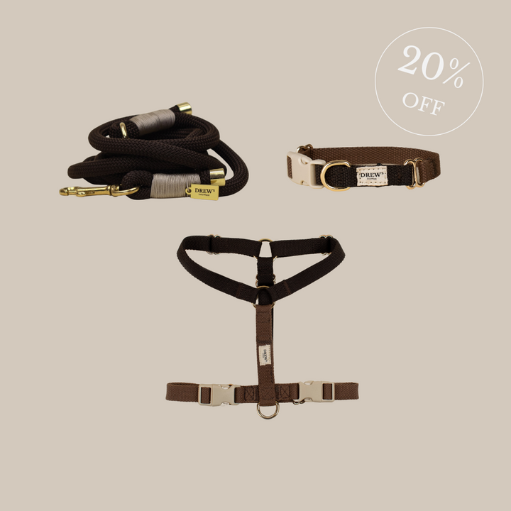 Braunes Set - Geschirr + Halsband + Kordel