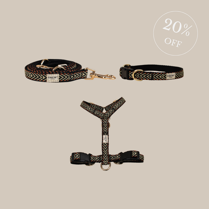Bright Orange set - Harness + Collar + Leash