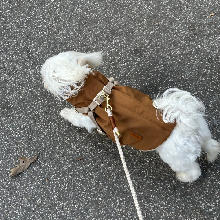 Zermatt // Step-in dog jacket in water-repellent material (brown)