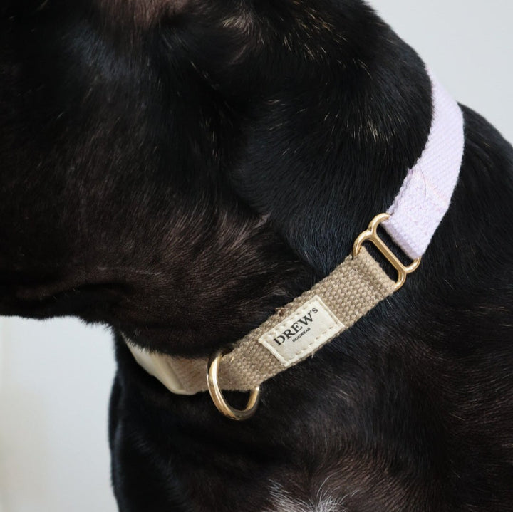 Hundehalsbånd i blødt materiale i farverne beige og lilla på hund.