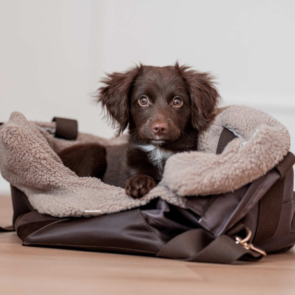 Praktisk og pæn hundetaske i brun til små hunde
