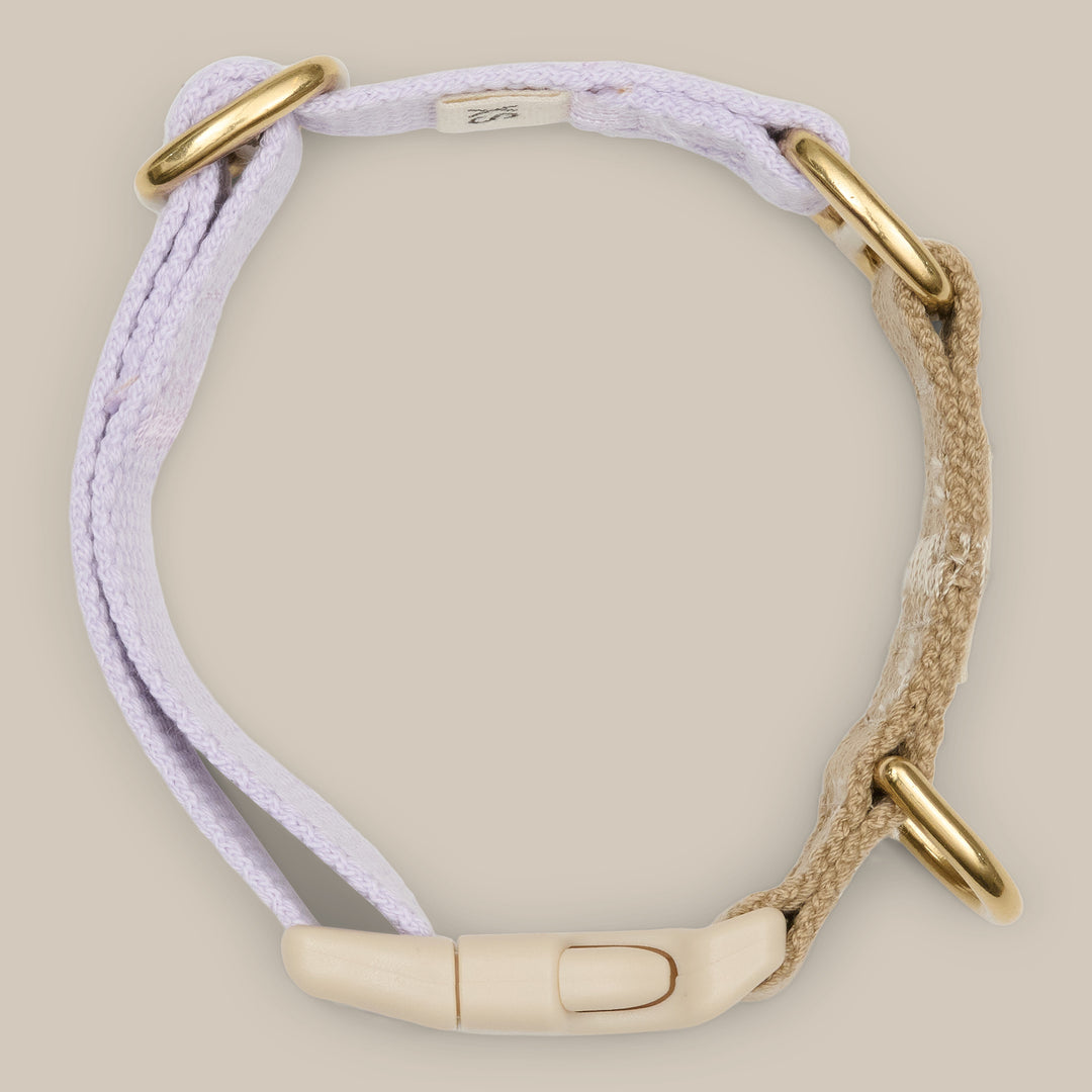 Lavender / Dog collar