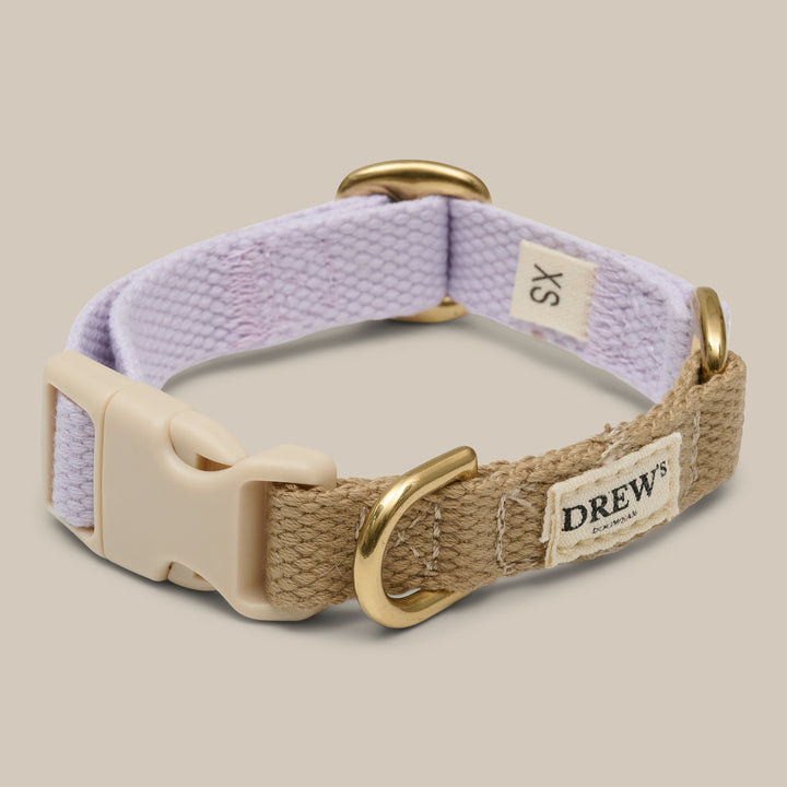 Lavender / Dog collar