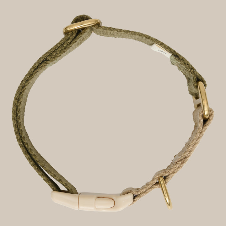 Olive / Dog collar