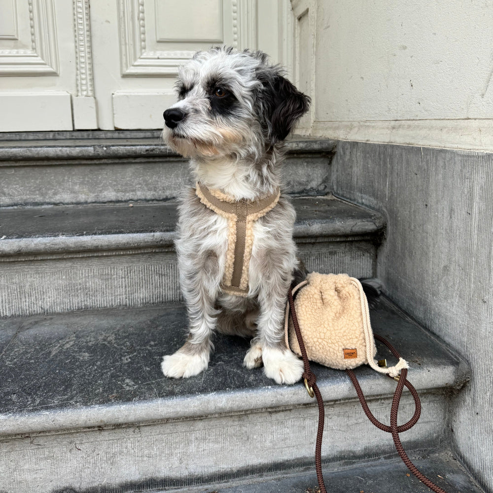 Godbidstaske og teddy hundesele med hund