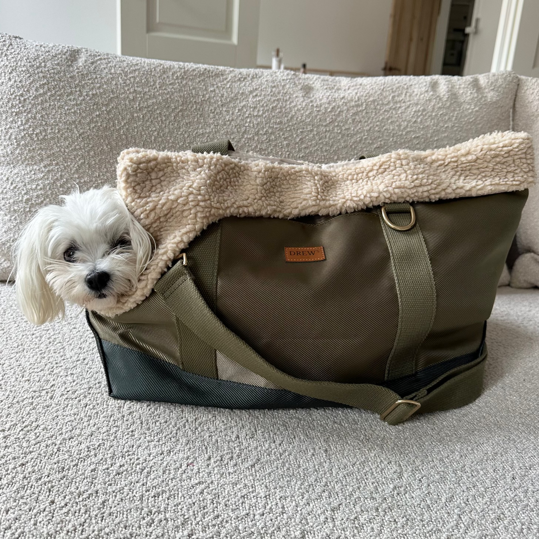 Hund i grøn hundetaske