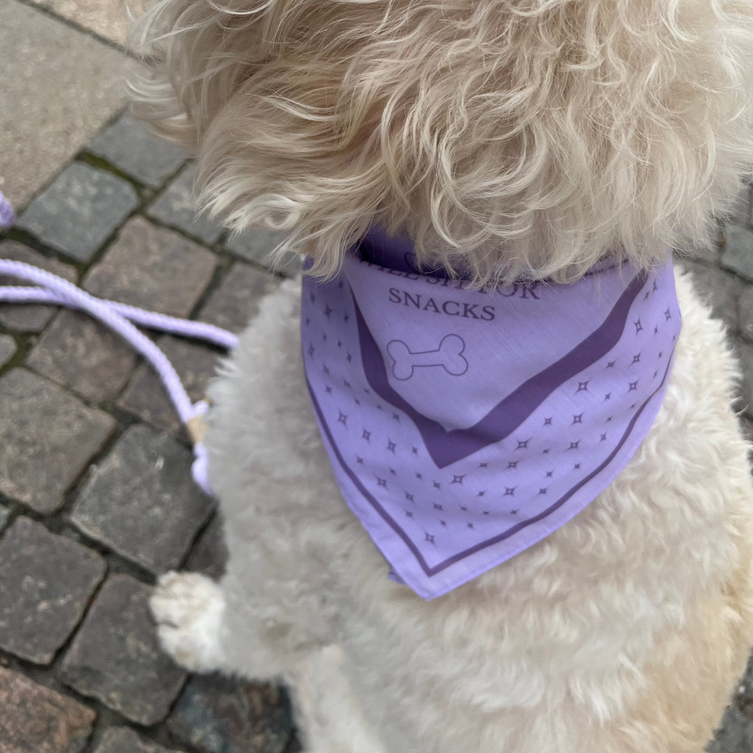 Hundebandana til mellem og store hunde i Lilla.