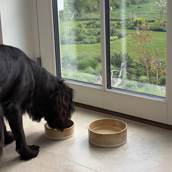 keramik hunde skål i beige