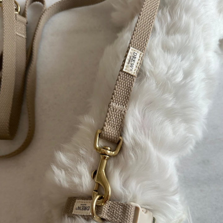 Hvid hund med beige hundesnor med guld detaljer