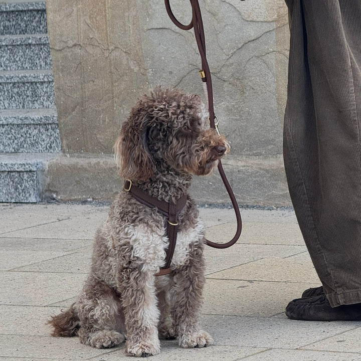Schokoladenbraunes / Weiches und verstellbares Hundegeschirr (PRO)