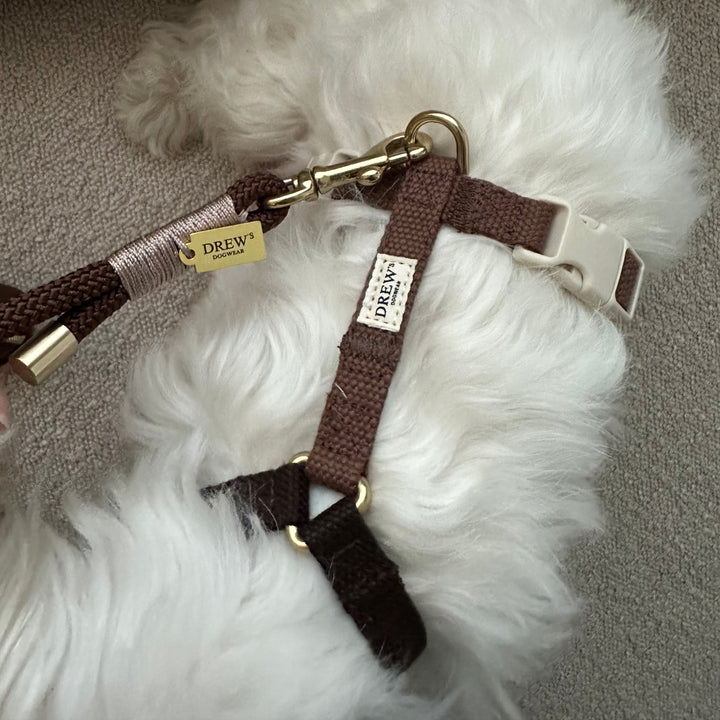 Braunes Set - Geschirr + Halsband + Kordel