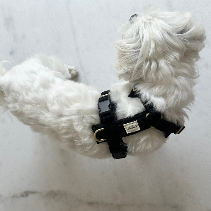 Black PRO / Adjustable dog harness (Black)
