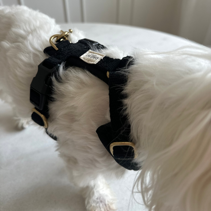 Black PRO / Adjustable dog harness (Black)