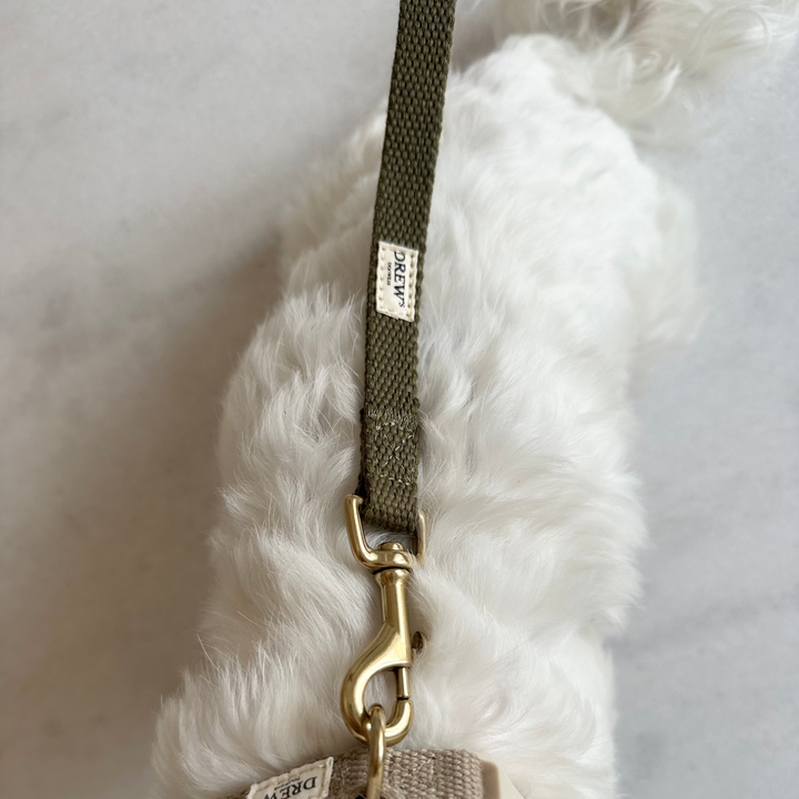 Olive / Adjustable cotton dog leash (Green)