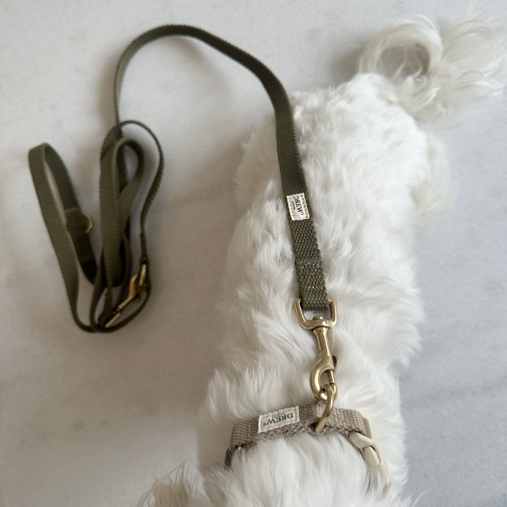 Olive / Adjustable cotton dog leash (Green)