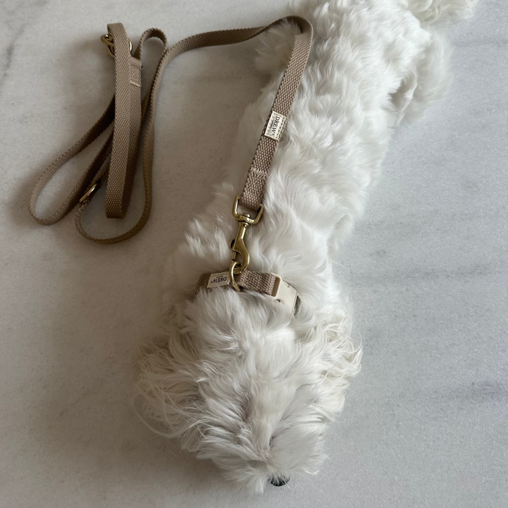 Beige / Adjustable cotton dog leash (Beige)