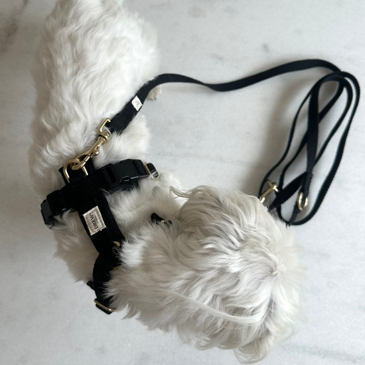 Black PRO / Adjustable dog harness (Black)