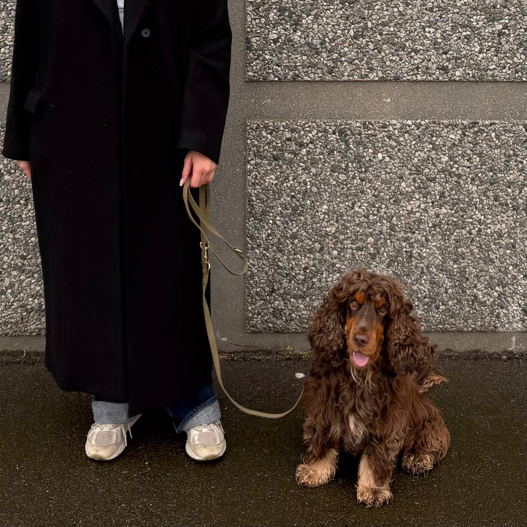 Olive / Soft & adjustable dog leash