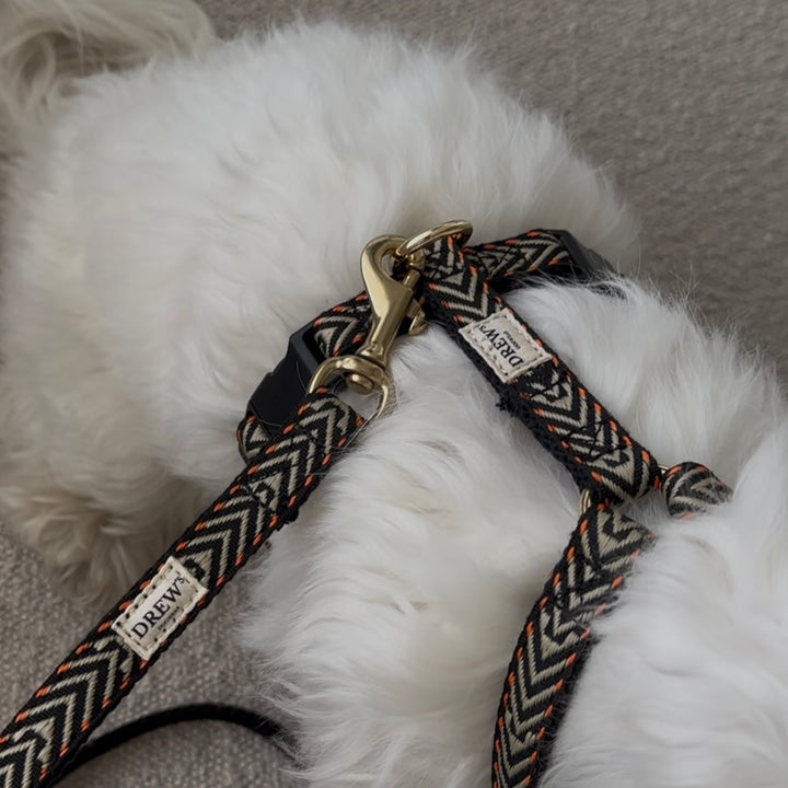Bright Orange set - Harness + Collar + Leash