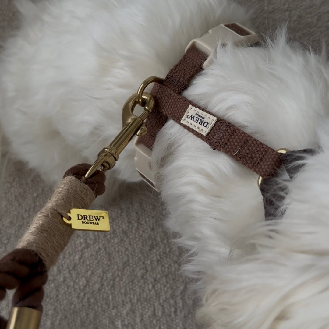 Chocolate hundesele + BRUN standard hundesnor