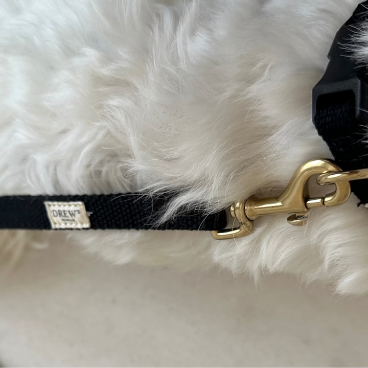 Black / Dog collar