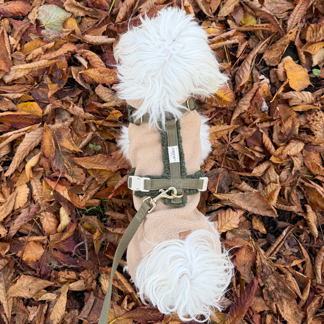 Olive / Soft & adjustable dog harness (teddy)