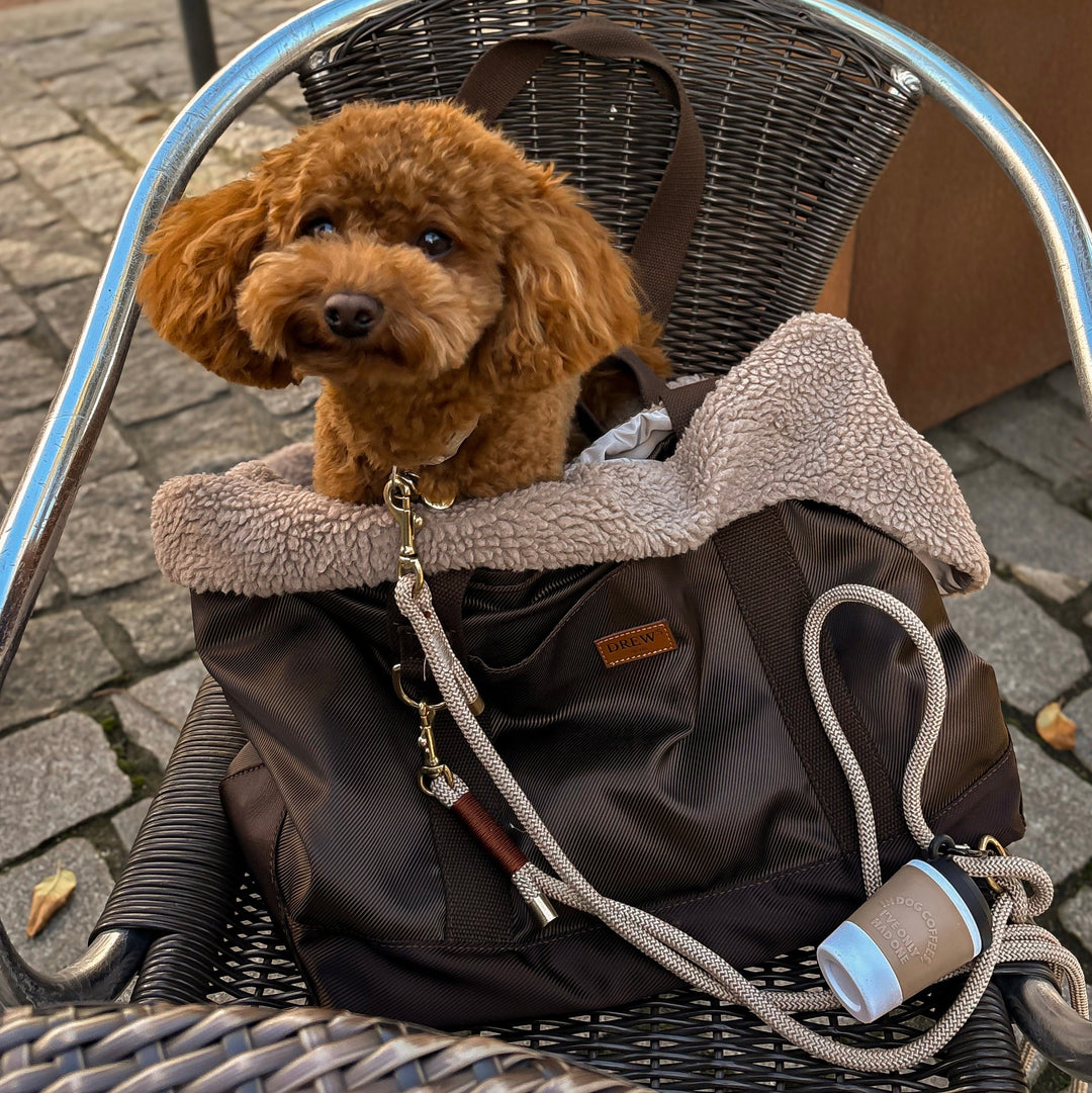 Cali / Hundetaske med teddy inderfor (2026)