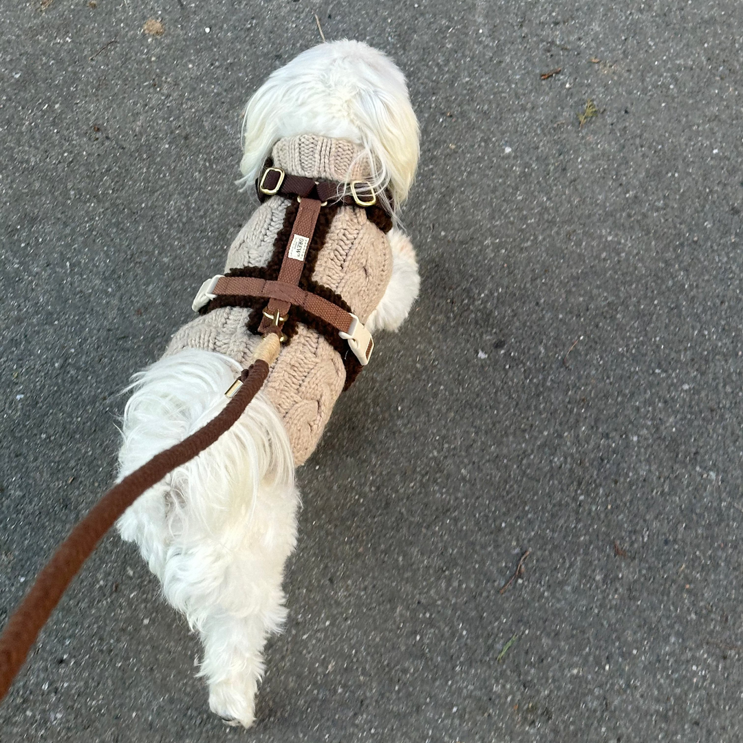 Teddy Beige - Dog harness