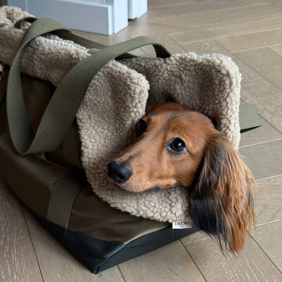 Olivgrüne / Hundetasche mit Teddyfutter