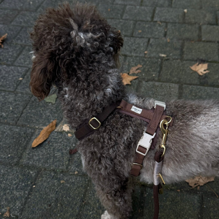 Schokoladenbraunes / Weiches und verstellbares Hundegeschirr (PRO)