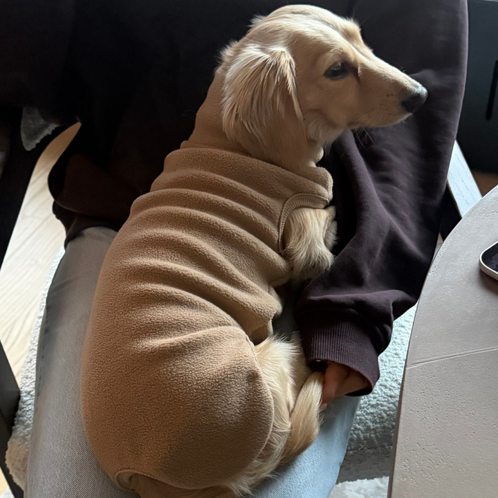 Kyoto / Fleece Dog Sweater Dachshund (beige)