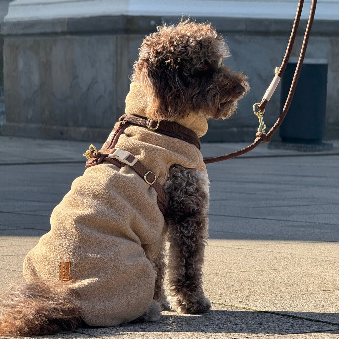 Beige dog sweater fleece