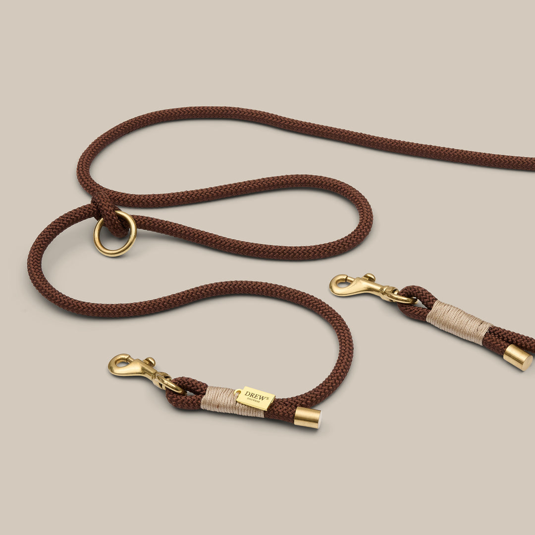 hvalpesnor brun hvalp