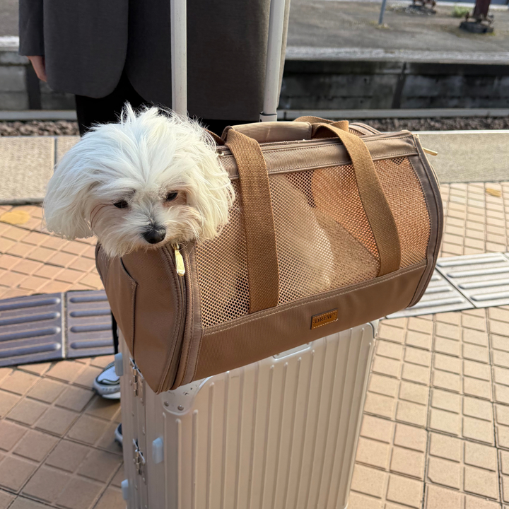 Transport taske til hunde i fly