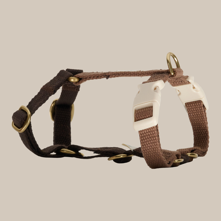 Chocolate / Dog harness