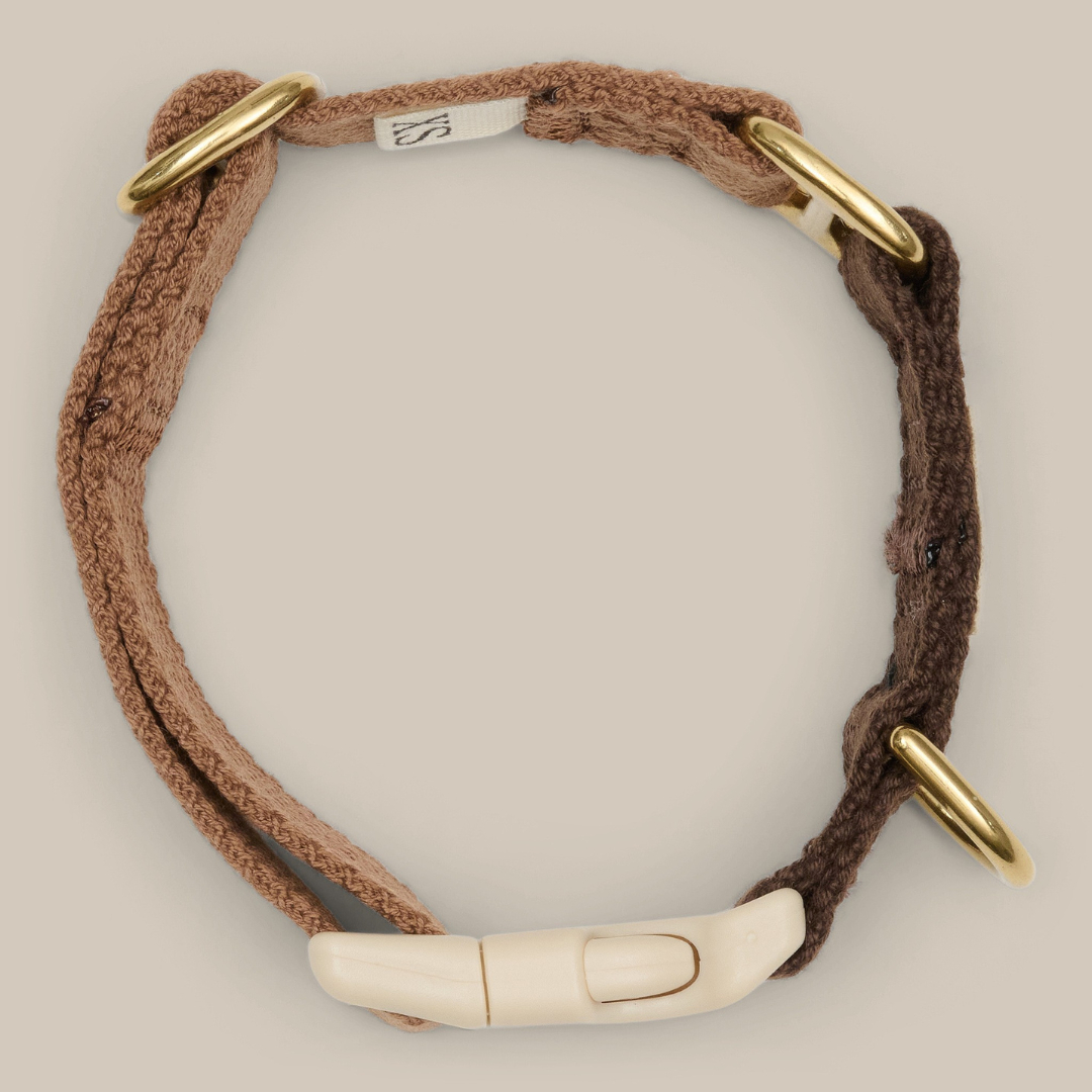 Chocolate / Dog collar