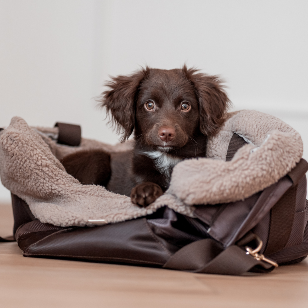 Cali // Sporty dog ​​bag with soft teddy fleece