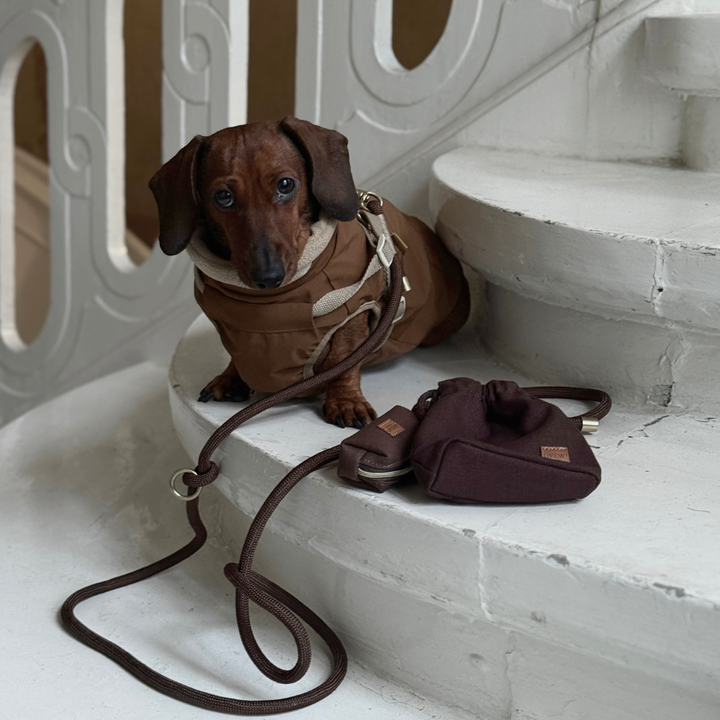Zermatt / Dackel Step-in Hundejacke (braun) 2026