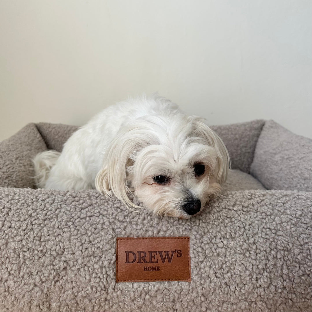 Nuna dog bed - Soft & washable dog bed made of memory foam (taupe)