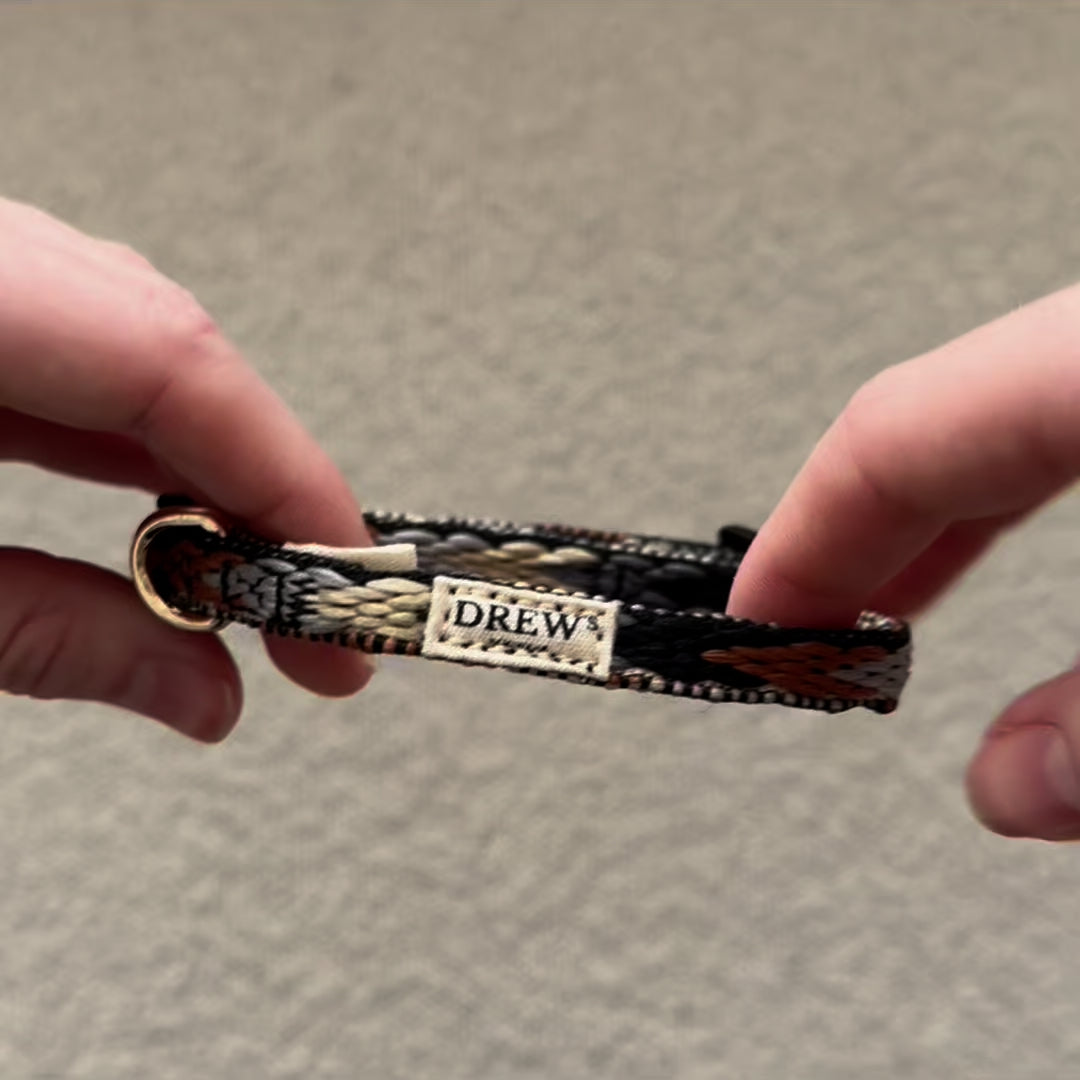 Dark Arrow / Puppy collar