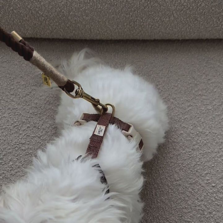 Chocolate hundesele + BRUN standard hundesnor