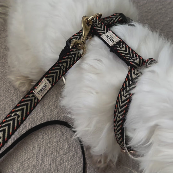 Bright Orange set - Harness + Collar + Leash
